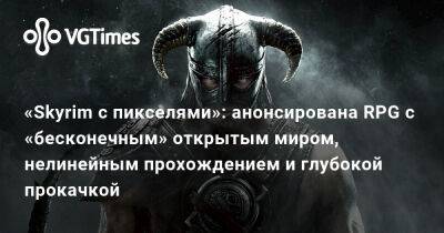 «Skyrim с пикселями»: анонсирована RPG с «бесконечным» открытым миром, нелинейным прохождением и глубокой прокачкой - vgtimes.ru