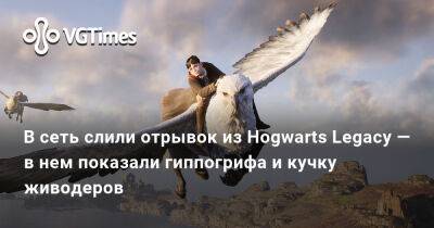 В сеть слили отрывок из Hogwarts Legacy — в нем показали гиппогрифа и кучку живодеров - vgtimes.ru