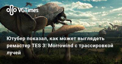 Ютубер показал, как может выглядеть ремастер TES 3: Morrowind с трассировкой лучей - vgtimes.ru