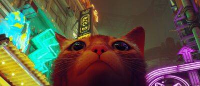 Томас Хендерсон - Игра про кота Stray помогает собирать деньги на помощь бездомным животным - gamemag.ru - Сша - Бразилия - state Nebraska