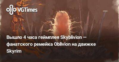Вышло 4 часа геймплея Skyblivion — фанатского ремейка Oblivion на движке Skyrim - vgtimes.ru