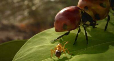 Появились скриншоты игры Empire of the Ants, основанной на бестселлере - gameinonline.com