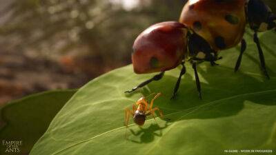 Анонсирована стратегическая адвенчура о муравьях на UE5 под названием Empire of the Ants - mmo13.ru