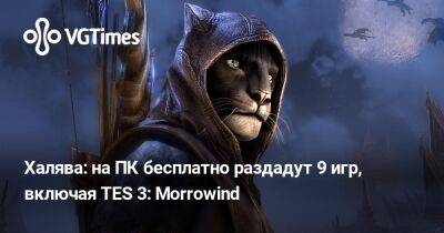 Халява: на ПК бесплатно раздадут 9 игр, включая TES 3: Morrowind - vgtimes.ru - Россия - Белоруссия