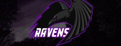 Менеджер Ravens о своей команде: «Я думаю, наша лёгкая линия — это наша слабость» - dota2.ru