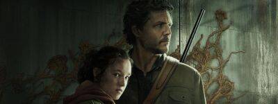 Фанаты нашли «идеальную Элли» для сериала Last of Us, моды для Skyrim — самое интересное за 2 января - gametech.ru - Россия