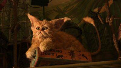 Гарри Поттер - Авторы Hogwarts Legacy рассказали про ещё одно волшебное существо - кошкоподобного Жмыра - playground.ru