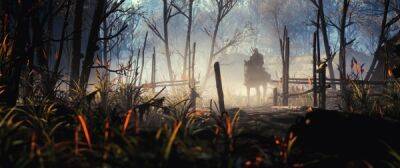 СD Project RED опубликовали работы победителей конкурса скриншотов из The Witcher 3: Wild Hunt - playground.ru