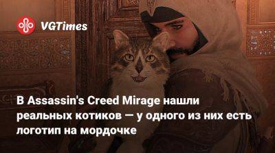 В Assassin's Creed Mirage нашли реальных котиков — у одного из них есть логотип на мордочке - vgtimes.ru