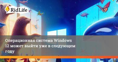 Операционная система Windows 12 может выйти уже в следующем году - ridus.ru