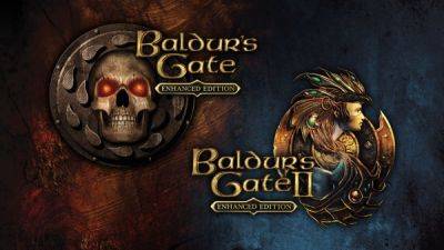 Один из создателей первых двух Baldur's Gate провел за сеансами D&D около 20 000 часов - playground.ru - Минск