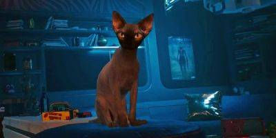 В Cyberpunk 2077 обнаружили кота-уголовника - его разыскивают за убийства и ограбления - playground.ru