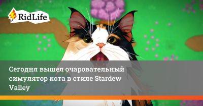 Сегодня вышел очаровательный симулятор кота в стиле Stardew Valley - ridus.ru