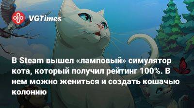 В Steam вышел «ламповый» симулятор кота, который получил рейтинг 100%. В нем можно жениться и создать кошачью колонию - vgtimes.ru