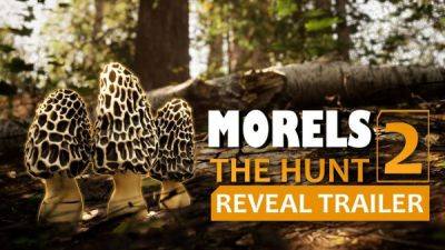 Анонсировано продолжение симулятора грибника Morels: The Hunt 2 - playground.ru