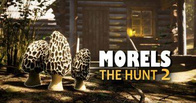 Запуск Morels: The Hunt 2 назначен на 2024 год - lvgames.info
