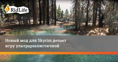 Новый мод для Skyrim делает игру ультрареалистичной - ridus.ru