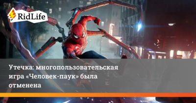 Джейсон Шрайер - Утечка: многопользовательская игра «Человек-паук» была отменена - ridus.ru - Нью-Йорк
