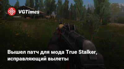Вышел патч для мода True Stalker, исправляющий вылеты - vgtimes.ru