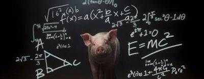 Будто пытаюсь заниматься математикой в загоне для свиней — Gorgc пожаловался на матчмейкинг в Dota 2 - dota2.ru