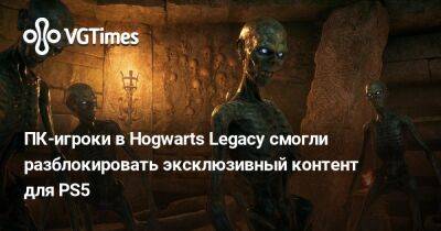 ПК-игроки в Hogwarts Legacy смогли разблокировать эксклюзивный контент для PS5 - vgtimes.ru