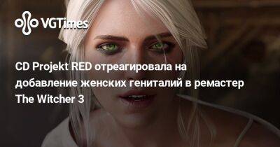 CD Projekt RED отреагировала на добавление женских гениталий в ремастер The Witcher 3 - vgtimes.ru
