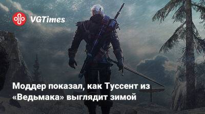 Моддер показал, как Туссент из «Ведьмака» выглядит зимой - vgtimes.ru