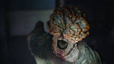 Российский эксперт-миколог рассказал, опасен ли грибок из The Last of Us - playground.ru