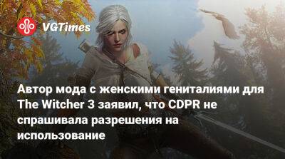 Автор мода с женскими гениталиями для The Witcher 3 заявил, что CDPR не спрашивала разрешения на использование - vgtimes.ru