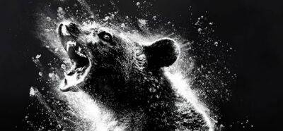 Гарри Поттер - Кокаиновый медведь получил официальную игру. Необычное приключение по мотивам фильма, основанного на реальных событиях - gametech.ru