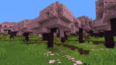 В Minecraft появится новый биом с особым видом древесины - games.24tv.ua