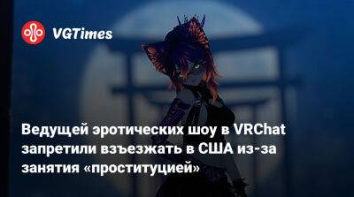 Ведущей эротических шоу в VRChat запретили взъезжать в США из-за занятия «проституцией» - vgtimes.ru - Сша