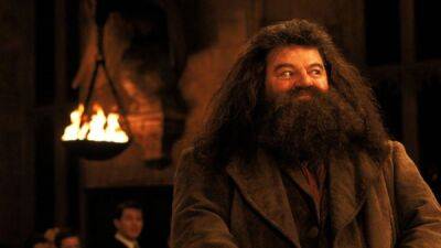 Гарри Поттер - Робби Колтрейн - Игрок нашел в Hogwarts Legacy мемориал актеру игравшему Хагрида в фильмах - playground.ru