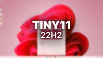 Вышла Tiny11 - облегченная Windows 11 для слабых компьютеров - playground.ru