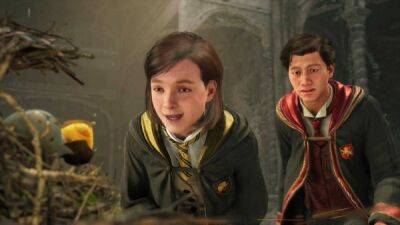 Гарри Поттер - На ПК стал доступен ранний доступ к Hogwarts Legacy - playground.ru