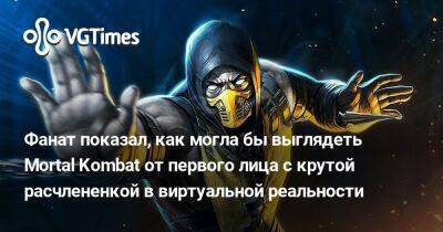Фанат показал, как могла бы выглядеть Mortal Kombat от первого лица с крутой расчлененкой в виртуальной реальности - vgtimes.ru