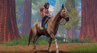 В Star Equestrian можно ухаживать за лошадью - app-time.ru