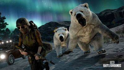 На игроков будет охотиться настоящий белый медведь — Главные нововведения грядущего патча для PUBG: Battlegrounds - mmo13.ru