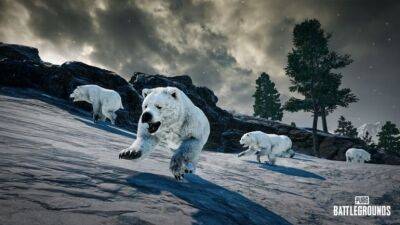 В PUBG добавят белых медведей и ночные сражения - coop-land.ru