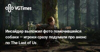 Инсайдер выложил фото помочившейся собаки — игроки сразу подумали про анонс по The Last of Us - vgtimes.ru