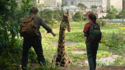 Для съёмок финала The Last of Us от HBO использовали настоящих жирафов - igromania.ru