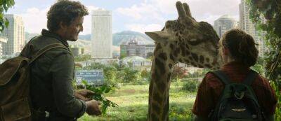 Педро Паскаль - Белла Рамзи - Раскрыты подробности милой сцены с жирафом из девятого эпизода сериала "Одни из нас" - gamemag.ru