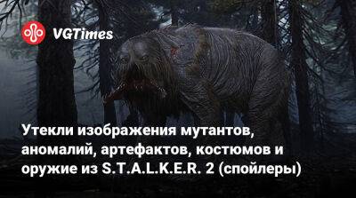 Утекли изображения мутантов, аномалий, артефактов, костюмов и оружия из S.T.A.L.K.E.R. 2 (спойлеры) - vgtimes.ru