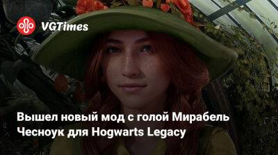 Вышел новый мод с голой Мирабель Чесноук для Hogwarts Legacy - vgtimes.ru - Москва