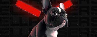 Мария Гунина - Александр Стример - Nix раскритиковал бандл HellRaisers за загрузочный экран с собакой. Гунина в ответ назвала его псом Magician - dota2.ru