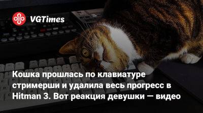 Джеймс Бонд - Io Interactive - Кошка прошлась по клавиатуре стримерши и удалила весь прогресс в Hitman 3. Вот реакция девушки — видео - vgtimes.ru