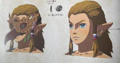 Nintendo требует от Discord раскрыть личность пользователя, слившего артбук The Legend of Zelda: Tears of the Kingdom - gametech.ru - штат Калифорния