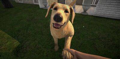 В Steam вышел симулятор отеля для животных Pets Hotel - zoneofgames.ru