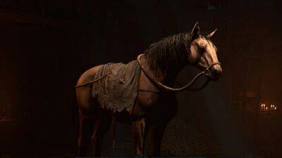Майк Ібарра (Mike Ybarra) - Blizzard виправила помилку - коня у Diablo IV дадуть після квестуФорум PlayStation - ps4.in.ua