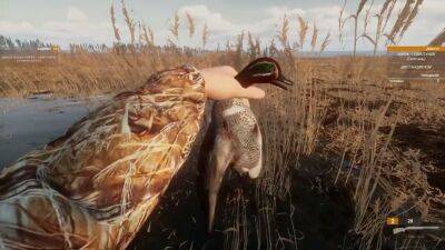 Симулятор охоты BULT получил первый ролик с игровым процессом - lvgames.info - Якутск